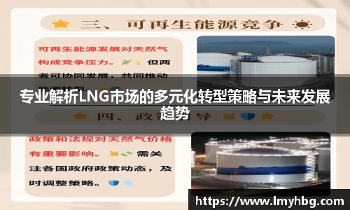 专业解析LNG市场的多元化转型策略与未来发展趋势