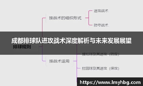 成都排球队进攻战术深度解析与未来发展展望